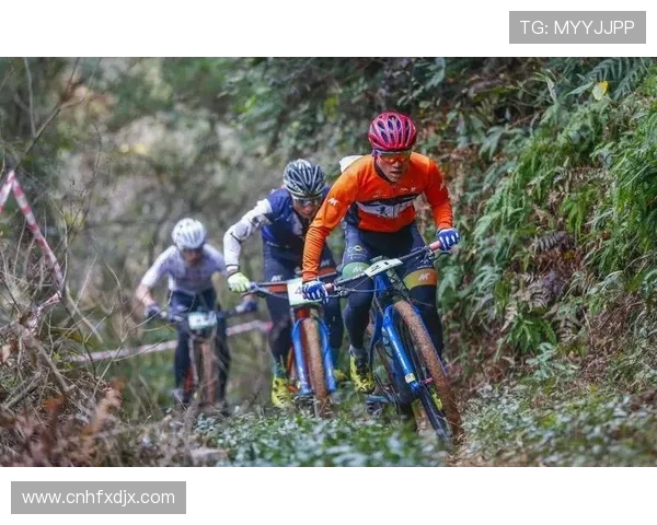 杭州极限运动队技术革新引发热议助推运动发展新潮流